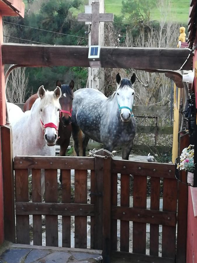 La Hacienda Del Campo Appartement