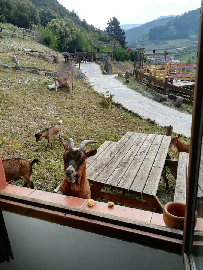 Apartamento La Hacienda Del Campo *